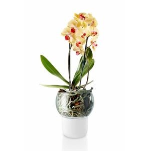 Eva Solo orchidea virágcserép