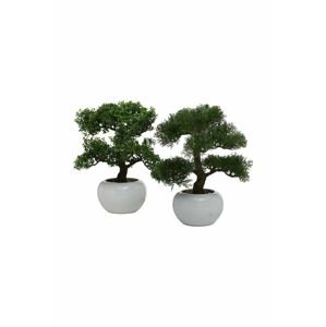 Boltze cserepes mű fa Conifer Bonsai
